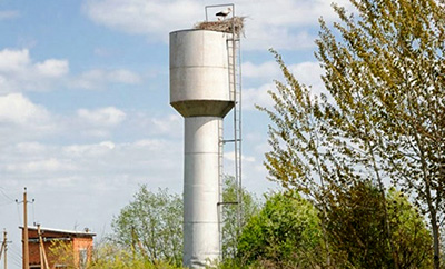 bashnya